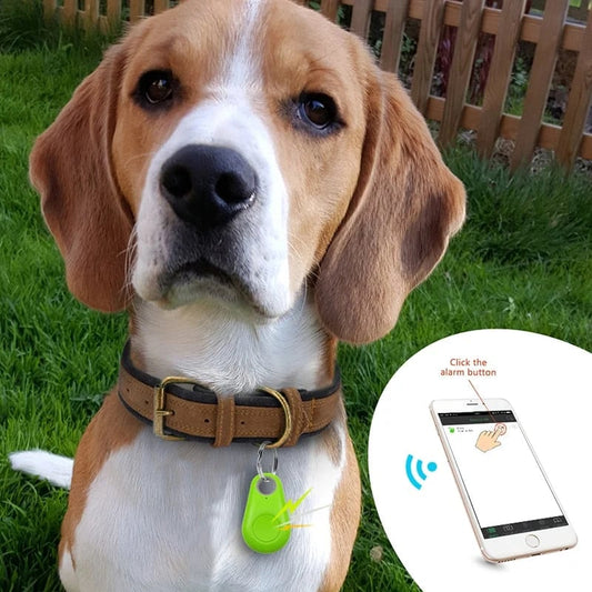 🐾Draadloze Bluetooth en GPS tracker voor huisdieren